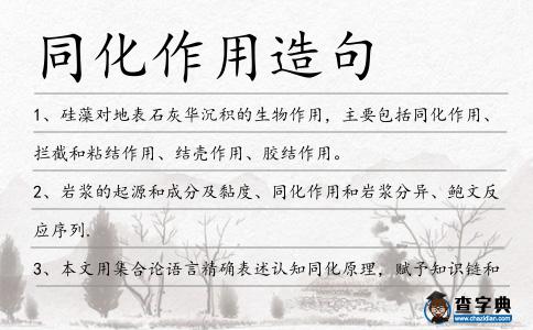 同化作用造句