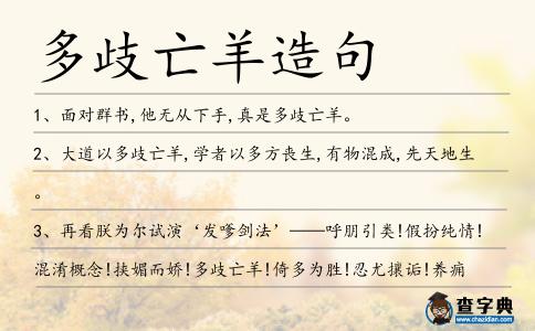 多歧亡羊造句