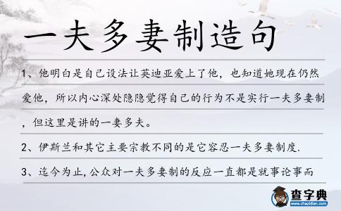 一夫多妻制造句