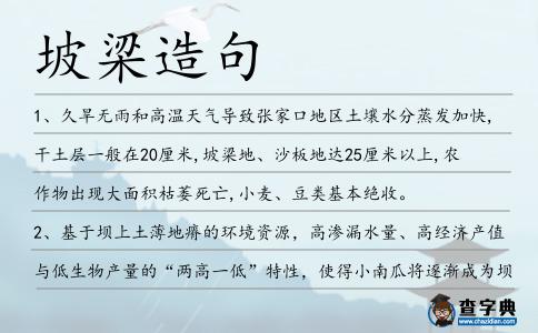 坡梁造句