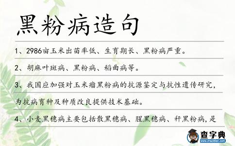 黑粉病造句