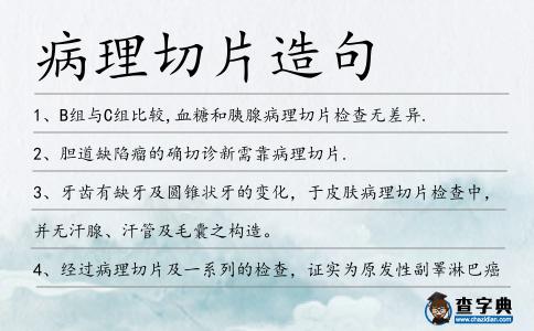 病理切片造句
