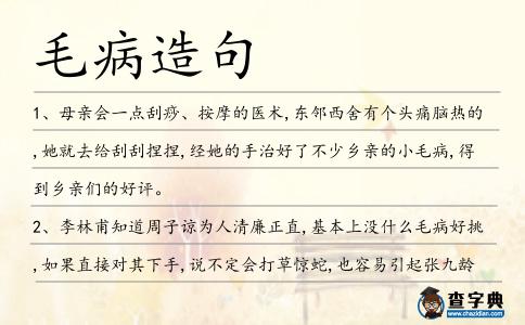 毛病造句