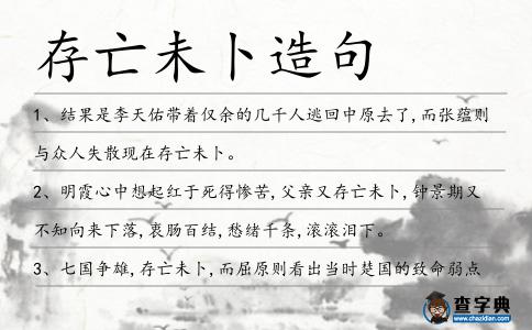 存亡未卜造句