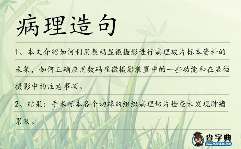 病理造句