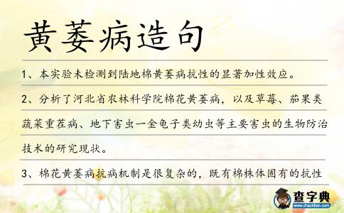 黃萎病造句