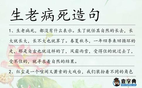 生老病死造句