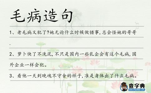 毛病造句