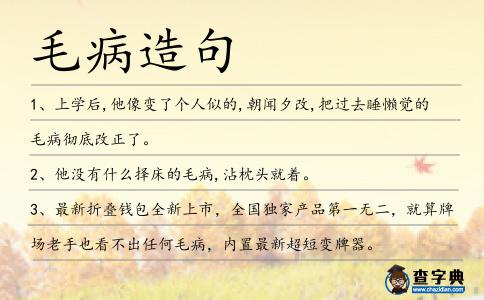 毛病造句