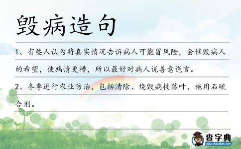 毀病造句