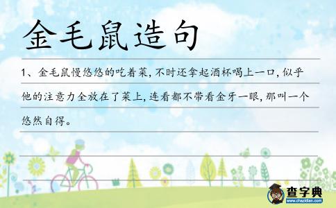 金毛鼠造句