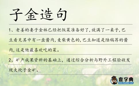 子金造句