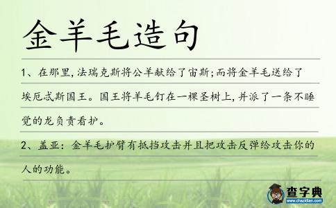 金羊毛造句