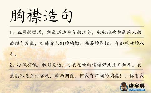 胸襟造句