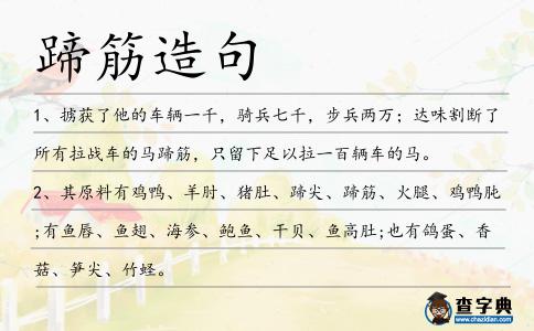 蹄筋造句