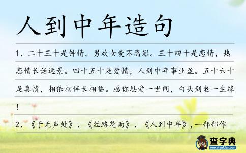 人到中年造句