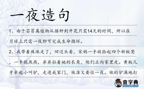 一夜造句