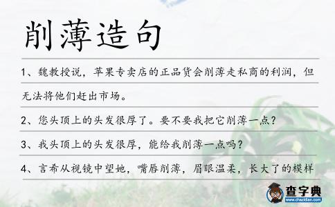 削薄造句