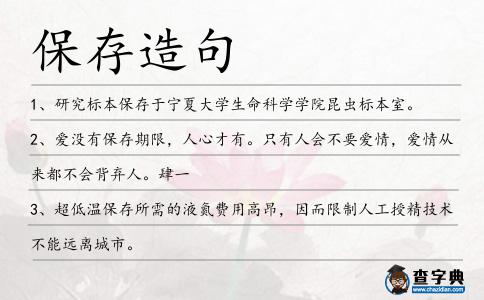 保存造句