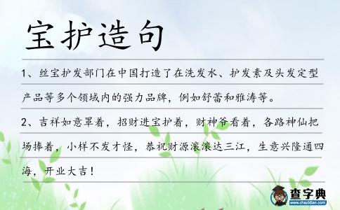 寶護造句