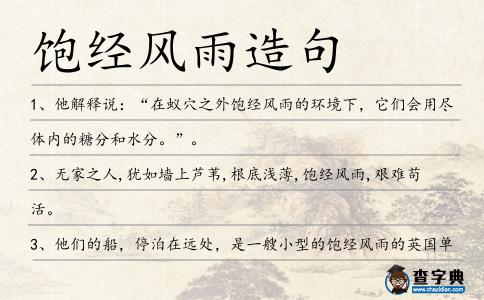 飽經(jīng)風(fēng)雨造句