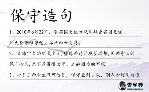 保守造句