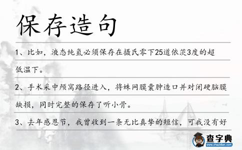 保存造句