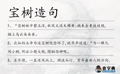 寶樹造句