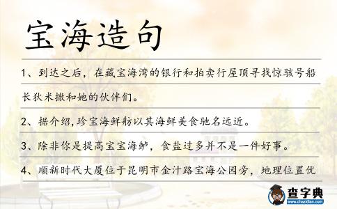 寶海造句
