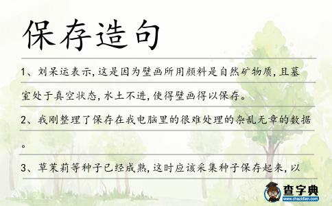 保存造句