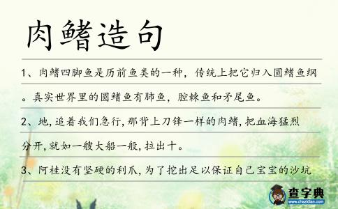 肉鰭造句