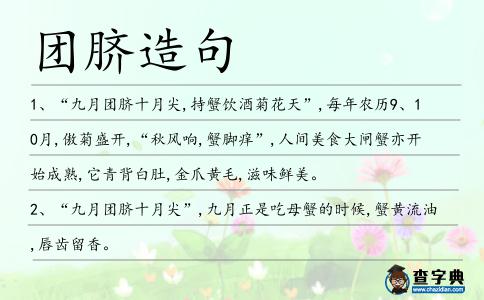 團(tuán)臍造句