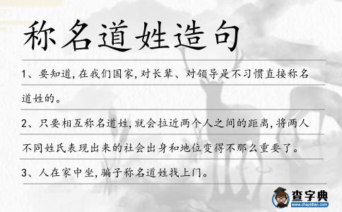 稱名道姓造句