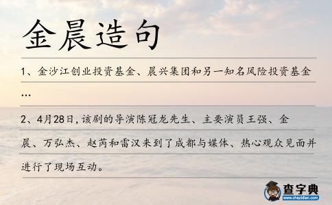 金晨造句