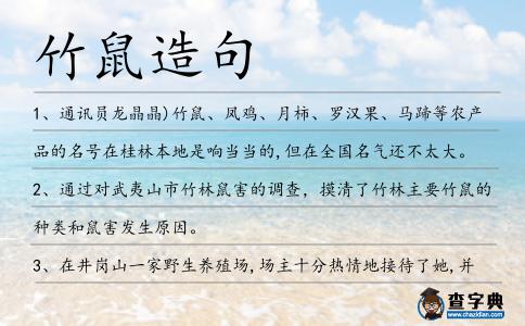 竹鼠造句