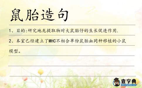 鼠胎造句