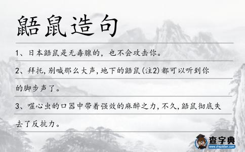 鼯鼠造句