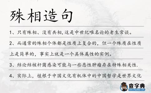 殊相造句