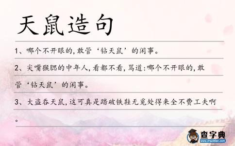 天鼠造句