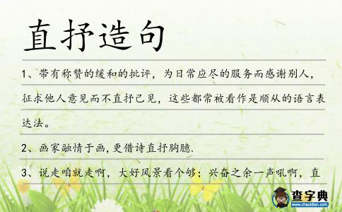 直抒造句