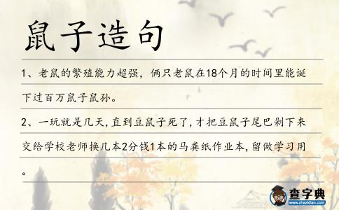 鼠子造句