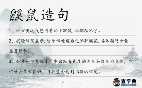 鼷鼠造句