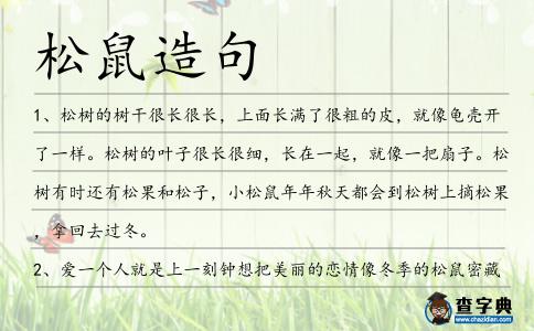 松鼠造句