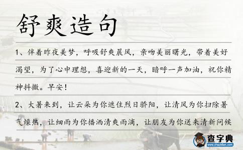 舒爽造句
