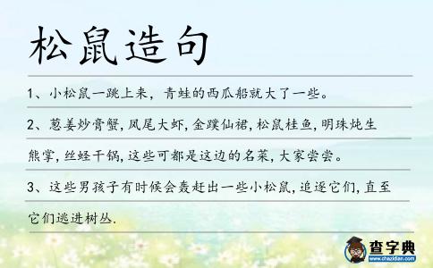 松鼠造句