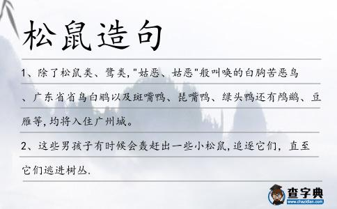 松鼠造句