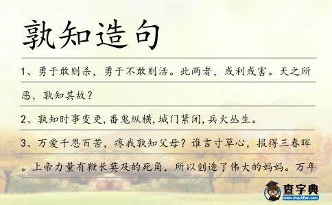 孰知造句