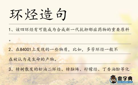 環烴造句