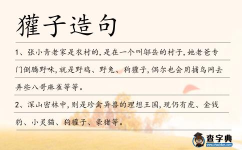 獾子造句