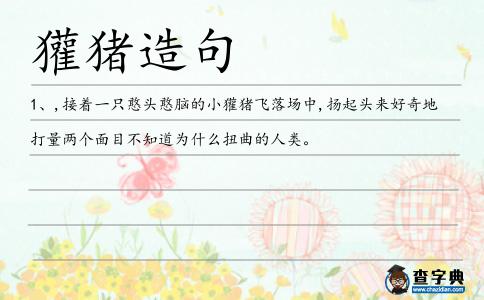 獾豬造句